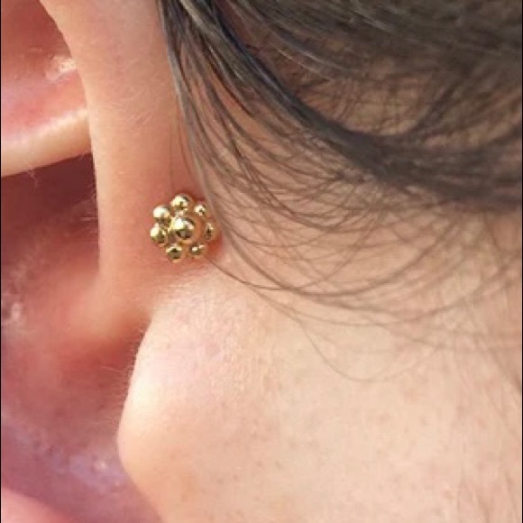 BVLA END - Picture 4 of 9